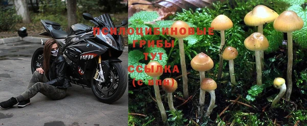 гидропоника Алексеевка