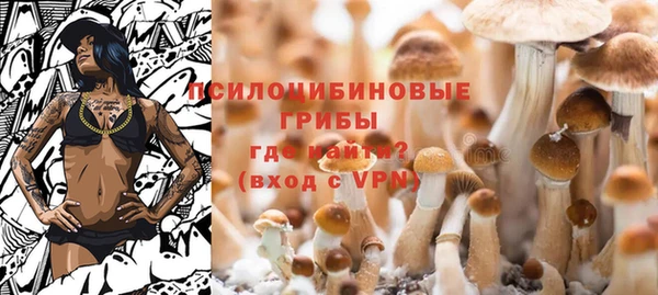 PSILOCYBIN Бутурлиновка