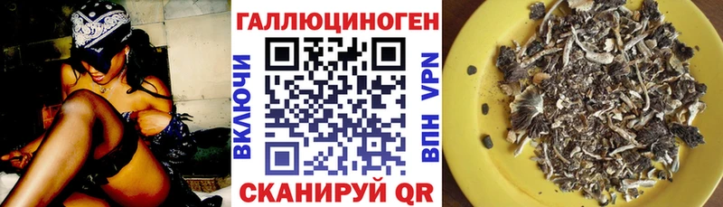 купить наркотик  Аргун  Галлюциногенные грибы MAGIC MUSHROOMS 