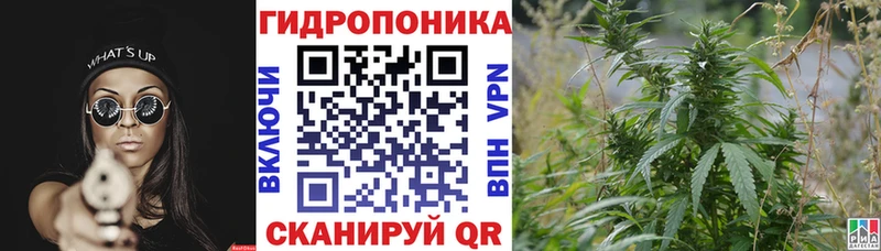 МАРИХУАНА THC 21% Аргун
